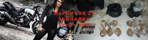 ГАЛЛЮЦИНОГЕННЫЕ ГРИБЫ Богданович
