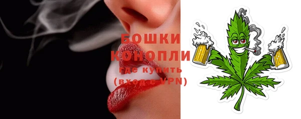 ГАЛЛЮЦИНОГЕННЫЕ ГРИБЫ Богданович