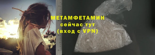 ГАЛЛЮЦИНОГЕННЫЕ ГРИБЫ Богданович