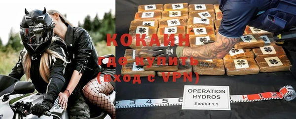 ГАЛЛЮЦИНОГЕННЫЕ ГРИБЫ Богданович