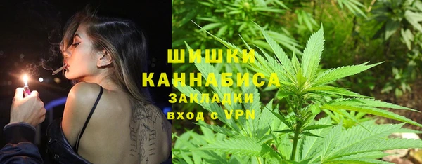 ГАЛЛЮЦИНОГЕННЫЕ ГРИБЫ Богданович