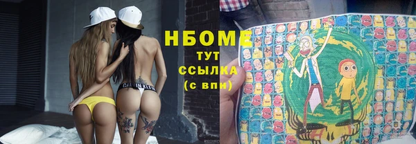 spice Дмитриев