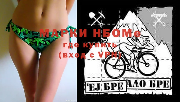 кокс Богородицк