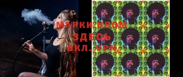 ГАЛЛЮЦИНОГЕННЫЕ ГРИБЫ Богданович
