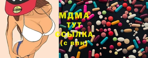ГАЛЛЮЦИНОГЕННЫЕ ГРИБЫ Богданович